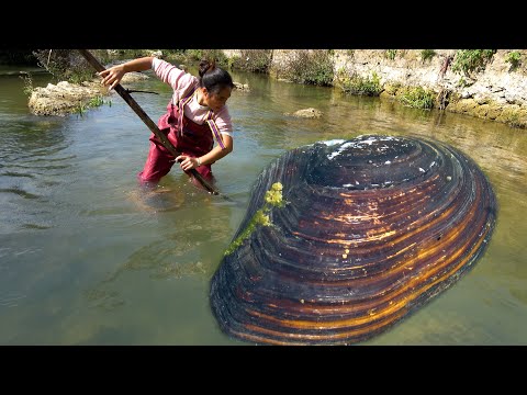 Today I coincidentally encountered a big river clam and