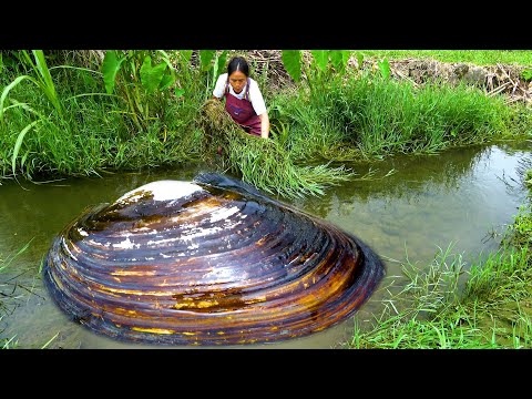 Looking at the big river clam in front of me I immediately