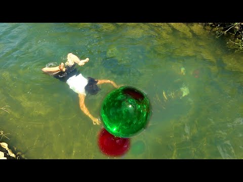Reflection appears at the bottom of the water so the clam