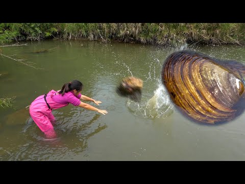 Under the impact of water waves all the pearls in the clam