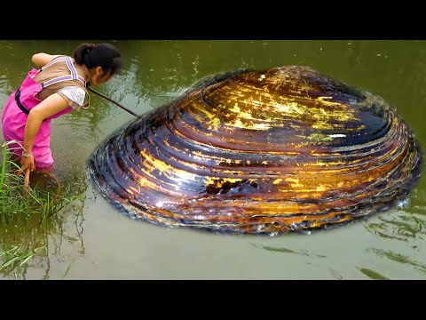 Looking at the big bellied river clam I feel very happy