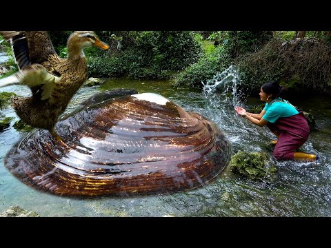 Originally pearl clams like this kind of place and find it