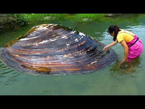 Have you ever seen such a large wild pearl clam Pearls are