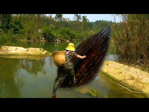 Make sure to get this clam ashore today because there are