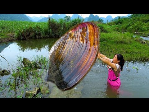 The clam is countless years old with pearls shining