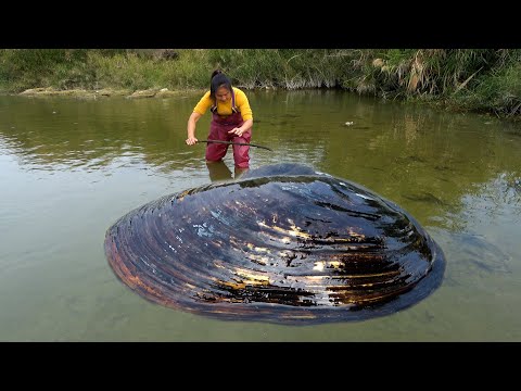 I ve seen many big river clams this is the first time I ve