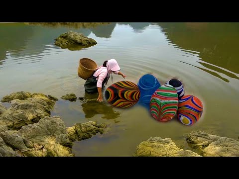 Valuable strange eggs appear in the clam one can buy a house