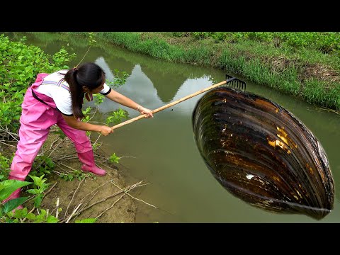 The scenery here is beautiful and the pearls in the river