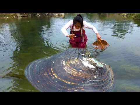 I searched for the largest clam in the water and finally