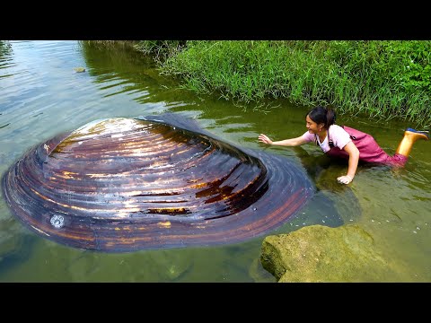 The river clam in the water can be seen clearly it is