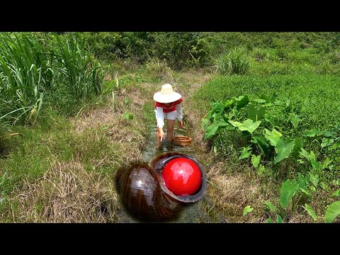 What a strange thing the beautiful woman saw a snail