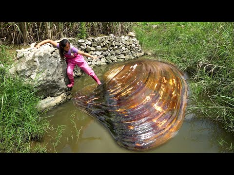 This clam is too big it s unbelievable