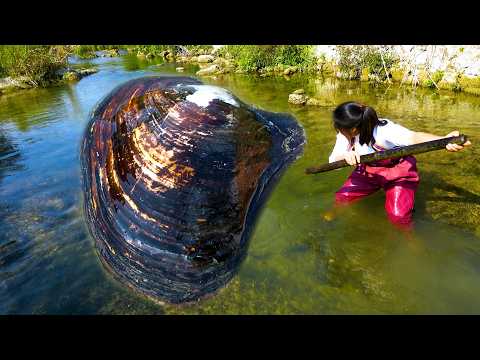 When picking up pearls choose a large river clam Pearls are