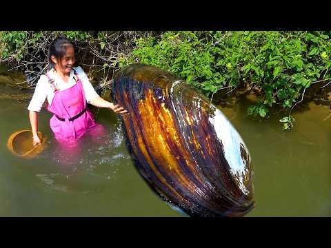 Today it s stable a giant pearl clam