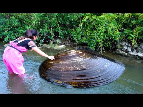 I like to come here to find river clams because the pearls