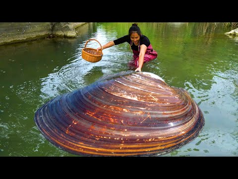 The big river clam appeared and dried directly There are