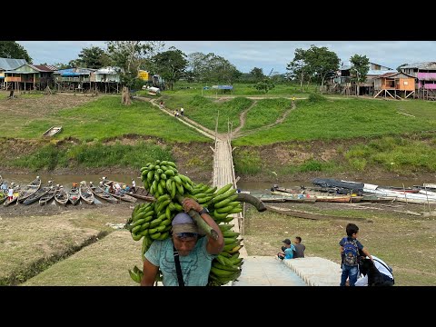 Maguari Köyü Amazonlar Brezilya Maguari Village Amazonia