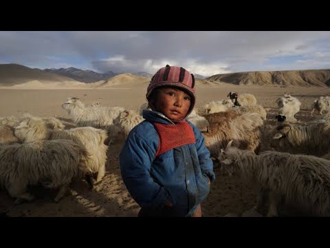 Budist yaylalarına bir yolculuk Ladakh Hindistan