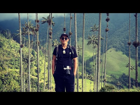 Cocora Vadisi Kolombiya