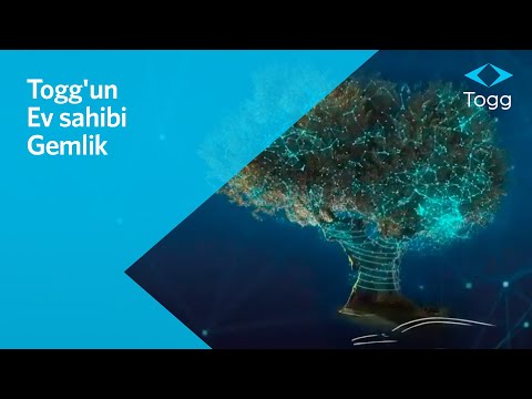 Otomotivin mobilite ekosistemine dönüştüğü yeni dünyada