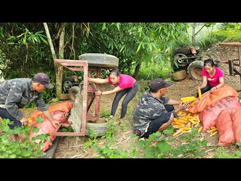 The genius girl went to rescue the tractor driver who was