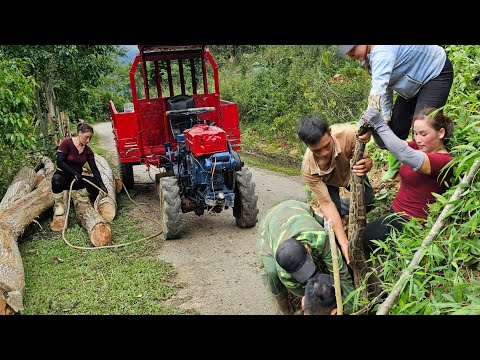 Go cut down trees and sell them to get money to buy food to