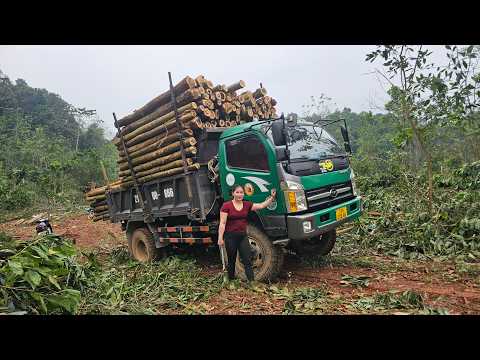 While cutting down an old tree the girl helped the truck
