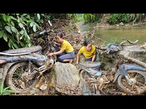 The genius girl who picked bamboo shoots saw the car was