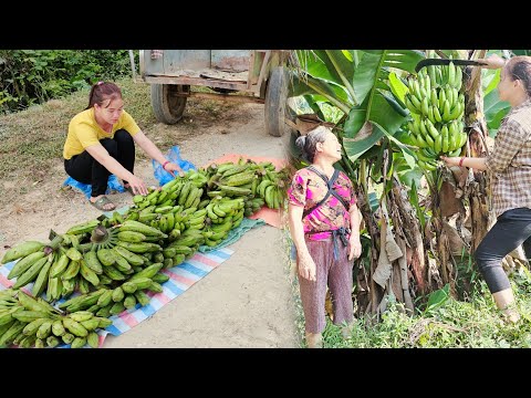 The girl with no customers repaired and sold bananas repair