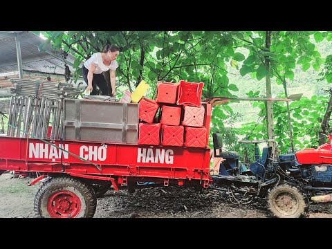 The girl helped the homeowner carry the table and chairs to