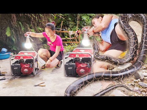 The genius girl rented a new house to repair a severely