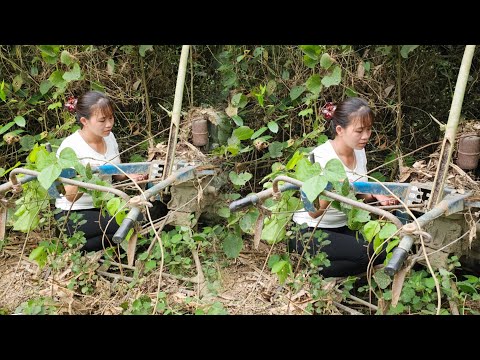 Genius girl Repairs and maintains agricultural machinery