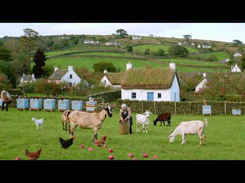 Peaceful Countryside Life Harvesting fruits Cozy Simple