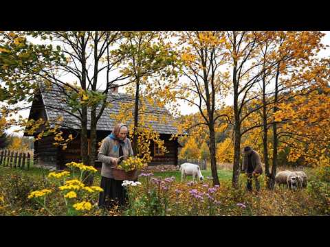 Peaceful Mountain Village Life Cooking and Harvesting Fresh