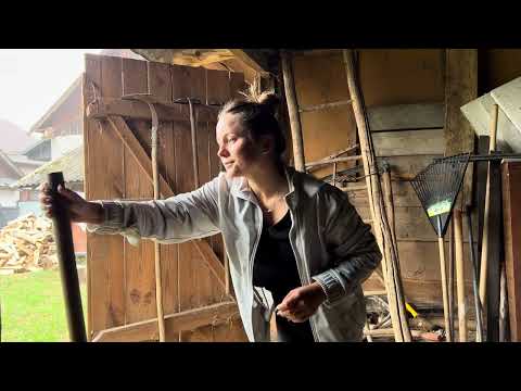 What I Found Inside This Forgotten Old Shed Surprised Me