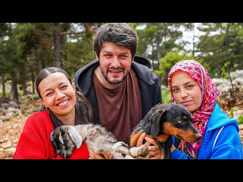 Obaya Geldik Obuaaa Deli Keçiler gezenoglak