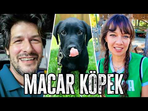 Ailenin Yeni Üyesi Macar Prens