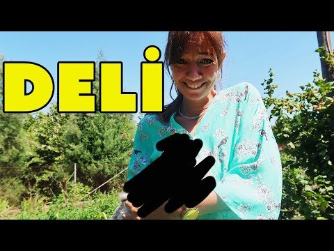 TAVUK VAR ZANNEDİYOR DELİ