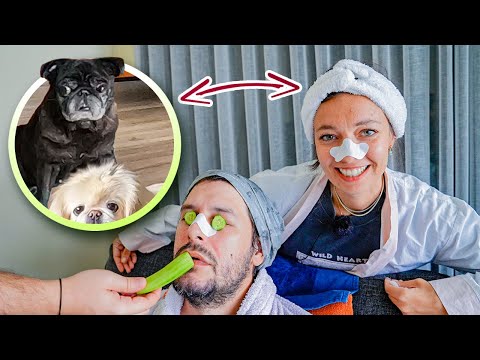 Köpekler Evde Tek Başına Gizli Vlog