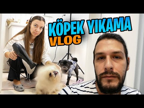 KÖPEKLER İLE BANYODA SAVAŞ TEMİZLİK VLOG