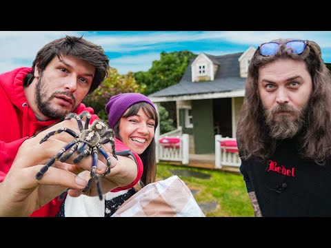 Elraenn in Kedisi ile Yaşadığı Viking Evi Elraenn Tuğkan