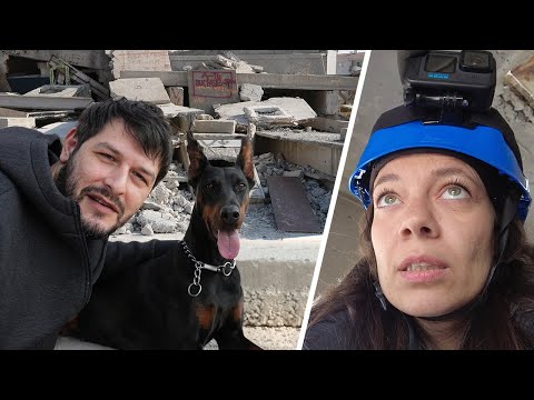 Kahraman Arama Kurtarma Köpekleri İle Bir Gün
