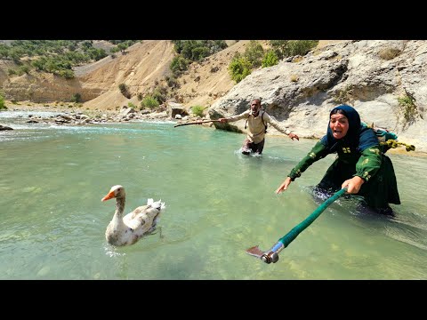 Tuba or Alborz Who was right The story of the duck in the