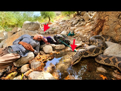 A strange incident happened near the spring Alborz and Tuba