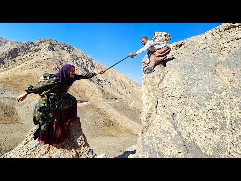Harvesting Wild Oranges in the Zagros Mountains Tooba Alborz
