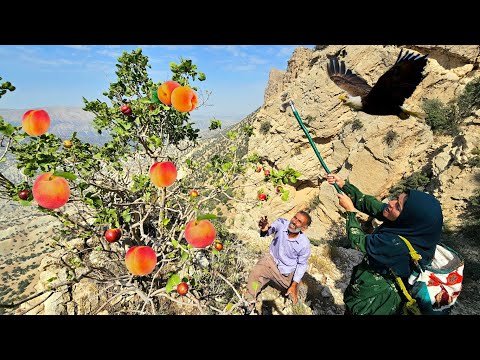 A nomadic couple who provide millet oil and mountain fruits