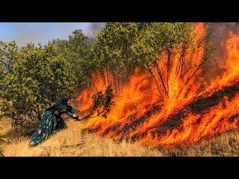 Terrible incident Heavy fire in the nomadic mountains