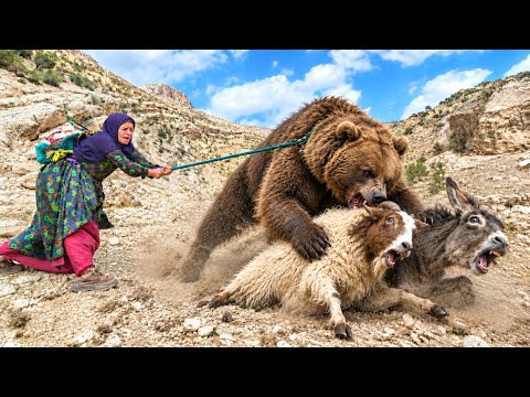 They were looking for a lost sheep when suddenly a leopard