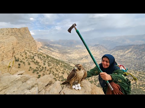 The Eagle s Nest The Story That Caused Discord Between Tuba