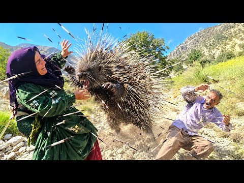 A nomadic couple travels to the Zagros Mountains and